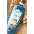 Real Botanicals - Repair Marokkanisches Arganöl Shampoo von Herbal Essences