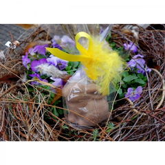 Seife Hase Karamell-Honig von Ovis