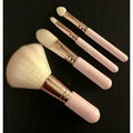 Mini Brush Kit Pinselset