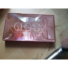 Endless Orgasm Palette von NARS