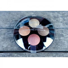 Illuminating Eyeshadow Quattro von Lavera