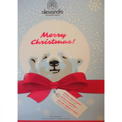 Ice Bear - Adventskalender 2017 von Alessandro