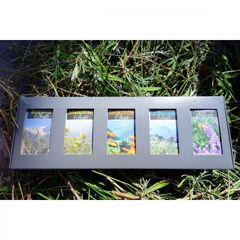 Geschenkset Pflanzliche Spezialseifen von Soglio