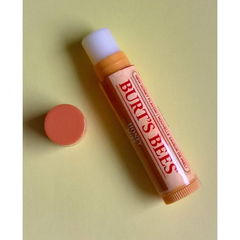 Honey Lip Balm by Burt's Bees