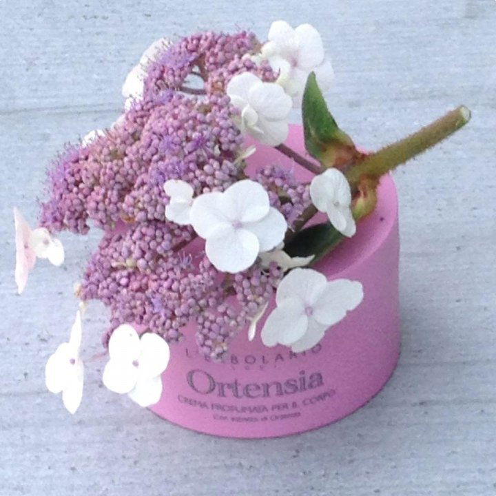 Ortensia Körpercreme von L'Erbolario