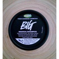 Big - Meersalzshampoo von LUSH