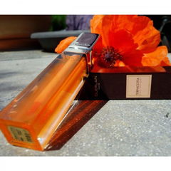 Terracotta - Kiss Delight Balm-in-Gloss von Guerlain