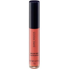Brilliant Shine Every Day Lip Gloss
