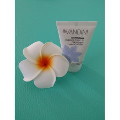 Charming - Balance Hand und Nagelbalm - Frangipani & Wilder Flieder by Vandini