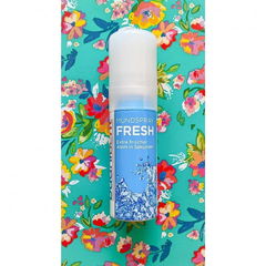 budni Dent Mundspray Fresh von Budni