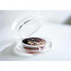 Intensif´eye Wet & Dry Shadow von Catrice Cosmetics