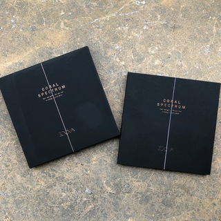 Coral Spectrum Blush Palette - Zoeva