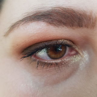 Tagesmakeup- Übrigens ist der Liner nur der Lidschatten in der Farbe Log, es wurde kein Kajal um das Auge herum benutzt