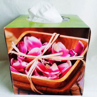 Kosmetiktücher Box - ebelin