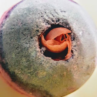 Sex Bomb - Badebombe von LUSH