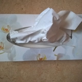 Kosmetiktücher - Cien