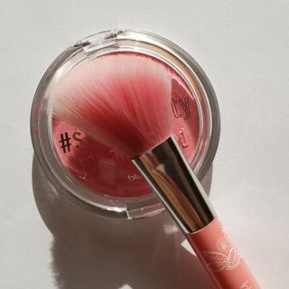 blush brush - essence
