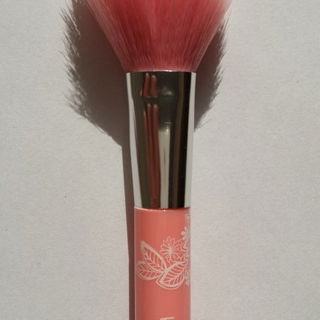 blush brush - essence