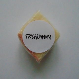 Trichomania - Festes Shampoo - LUSH