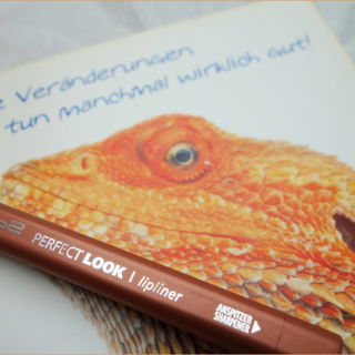 Duschknäuel   Schwein - Elina med