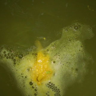 Spring Bunny - Badebombe von LUSH