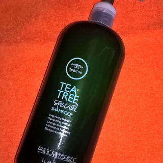 Tea Tree special Shampoo von Paul Mitchell