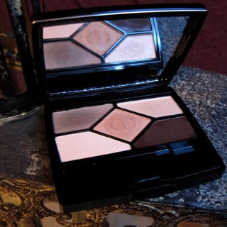 DIOR 5 Couleurs Designer / 508 Nude Pink Design