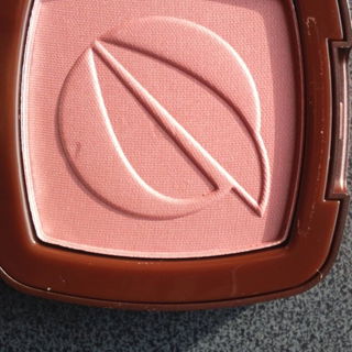 Rouge Puder - Terra Naturi