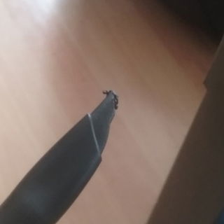 Das krümmelige, klebrige etwas an der Spitze, ist das Linergel