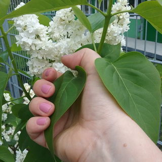 Meine Lieblingsfarbe: Pink Cafe