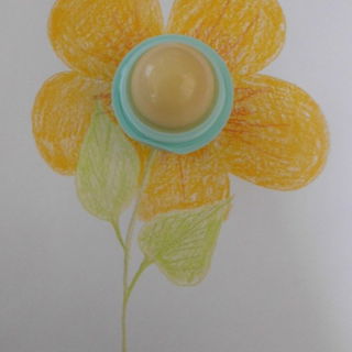 Organic Lip Balm - Sweet Mint - eos